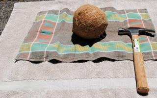 Как легко открыть кокос дома?
